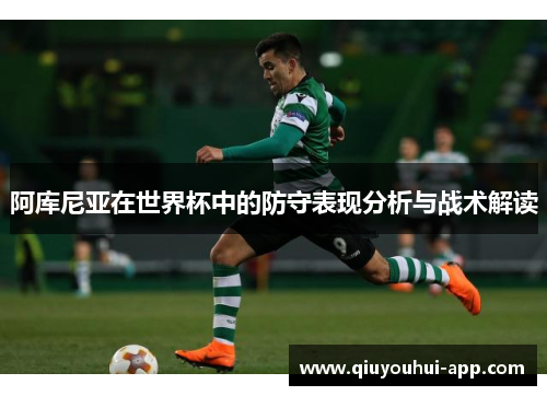 阿库尼亚在世界杯中的防守表现分析与战术解读